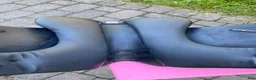 Sadlar hästutrustning till salu: Arena Monoflap dressyrsadel 17,5” - close contact - Annons 6