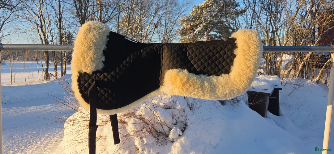 Schabrak & Vojlockar hästutrustning till salu: Fårskinnspadd strl full i Hudiksvall - Annons 1