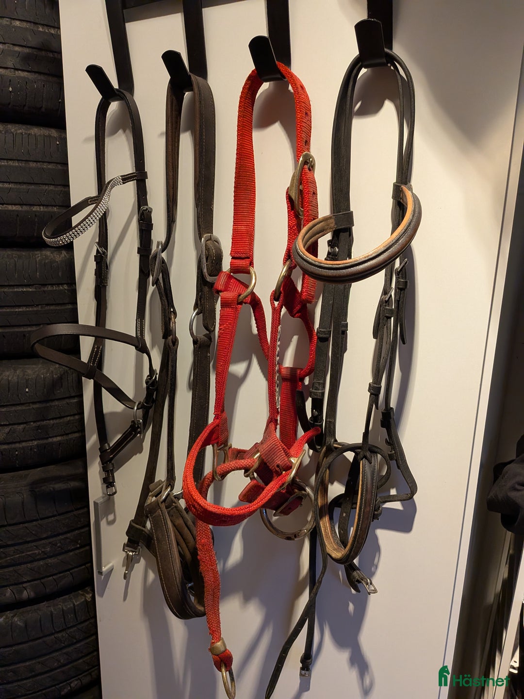 Övrig Hästutrustning hästutrustning till salu: Monty Roberts Dually grimma i Västerås - Annons 1