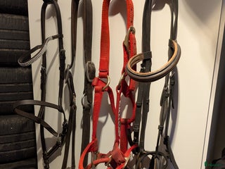 Övrig Hästutrustning hästutrustning till salu: Monty Roberts Dually grimma i Västerås - Annons 1