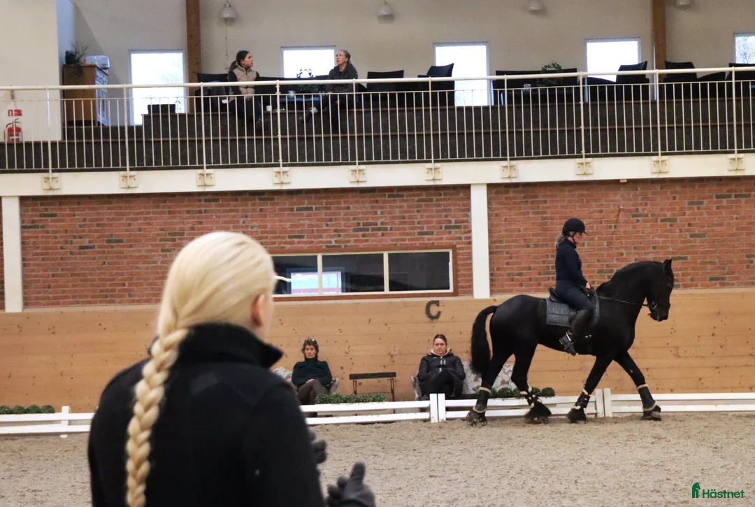  hästservice finnes: Ride and Dine kurs på Sanna Nilsson Dressyrcenter i Stora Sundby - Annons 2