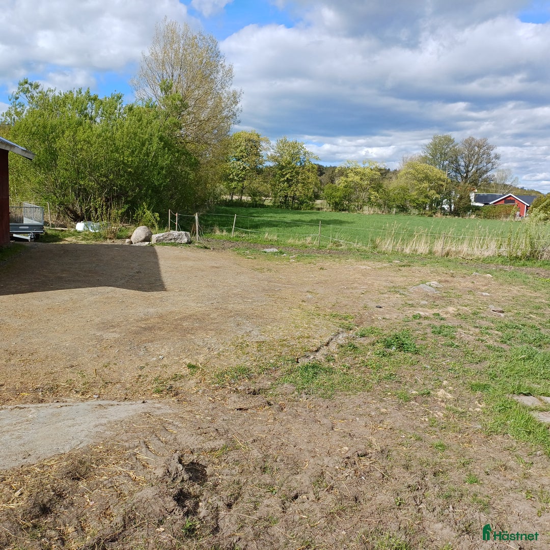  stallplats finnes: Lösdrift i Torslanda - Annons 7