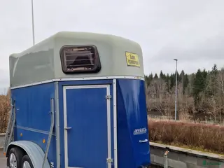 Hästtransporter fordon & transport till salu: Hästtransport Böckmann Duo BLP-R - Annons 12