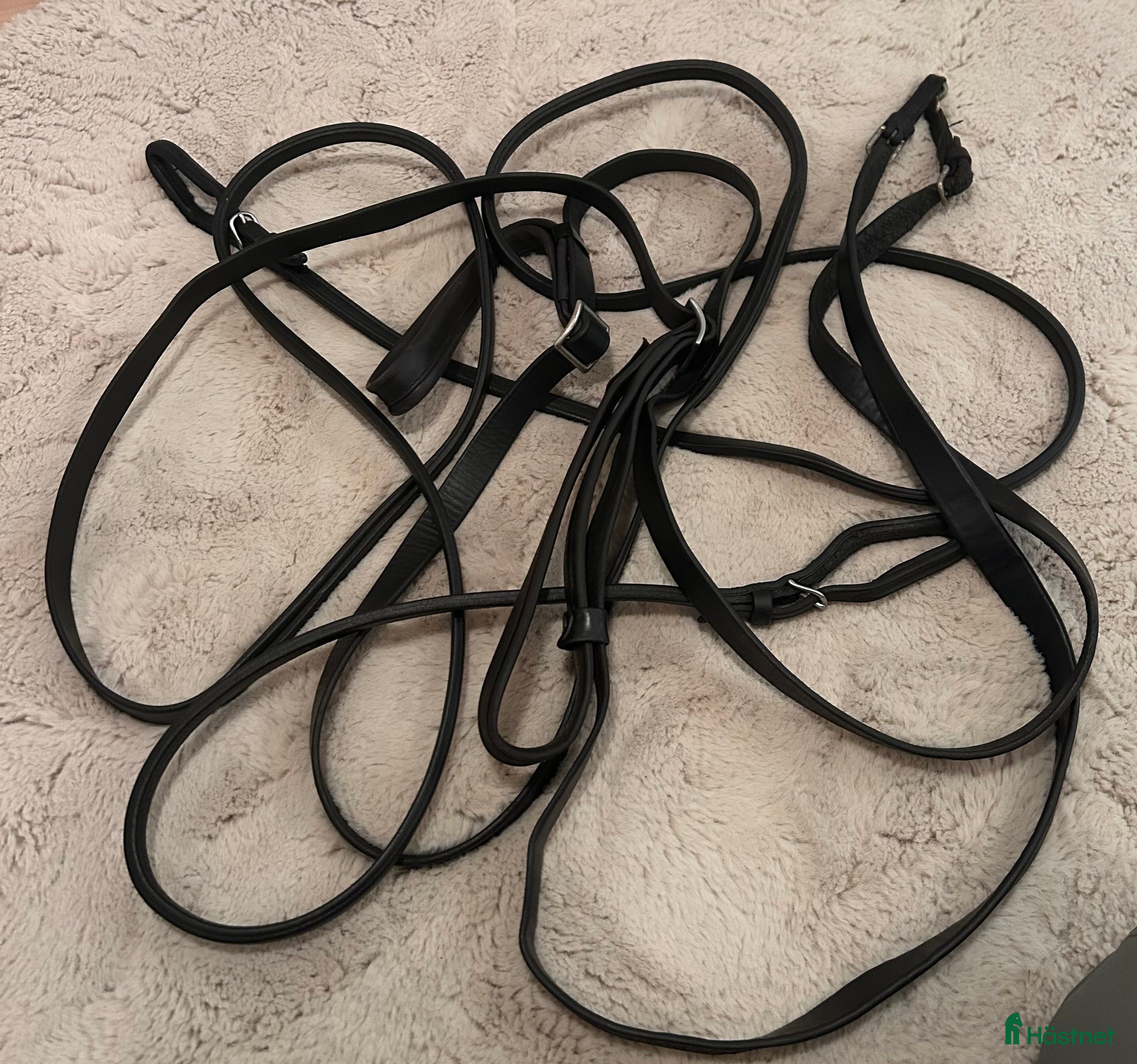 Övrig Travutrustning trav till salu: Travtömmar läder - Annons 16