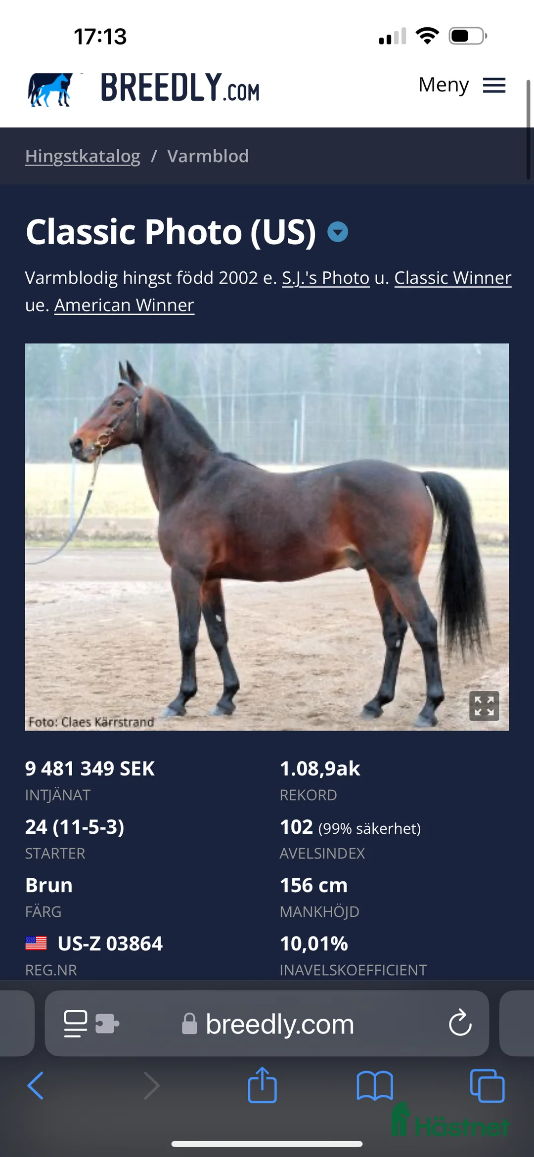 Allround hästar till salu: Sto gis bort!! Oldefar:Scarlet Knight (US)98 i Strömstad - Annons 6