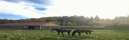  stallplats finnes: Lediga stallplatser utanför Åtvidaberg  - Annons 3