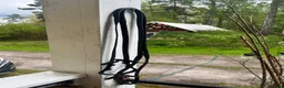 Träns hästutrustning till salu: Läder/gummityglar - Annons 1