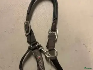 Övrig Hästutrustning hästutrustning Equiline grimma i Göteborg - Annons 15