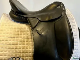 Sadlar hästutrustning Dressyrsadel Kieffer Lusitano 17" i Uppsala - Annons 8