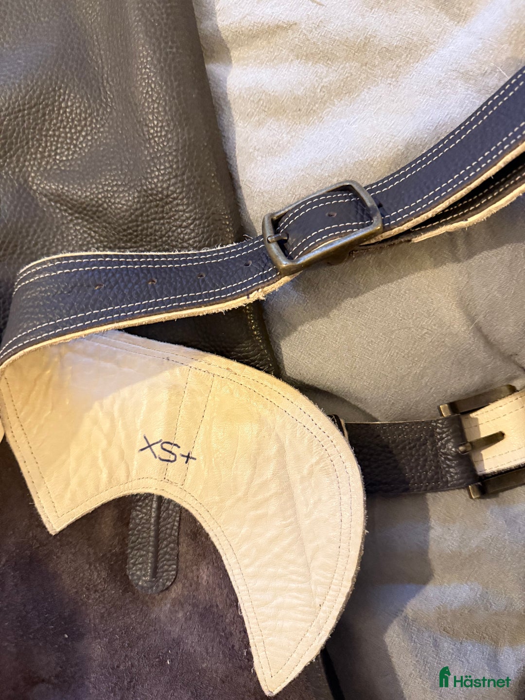 Övrig Ryttarutrustning ryttarutrustning till salu: Chaps parlanti - Annons 4