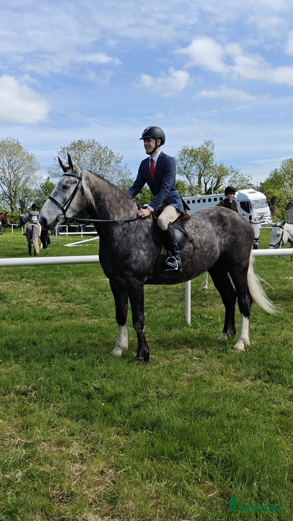  hästar Irish Draught gelding 168cm - Annons 7