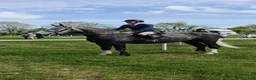 Allround hästar till salu: Irish Draught gelding 168cm - Annons 1