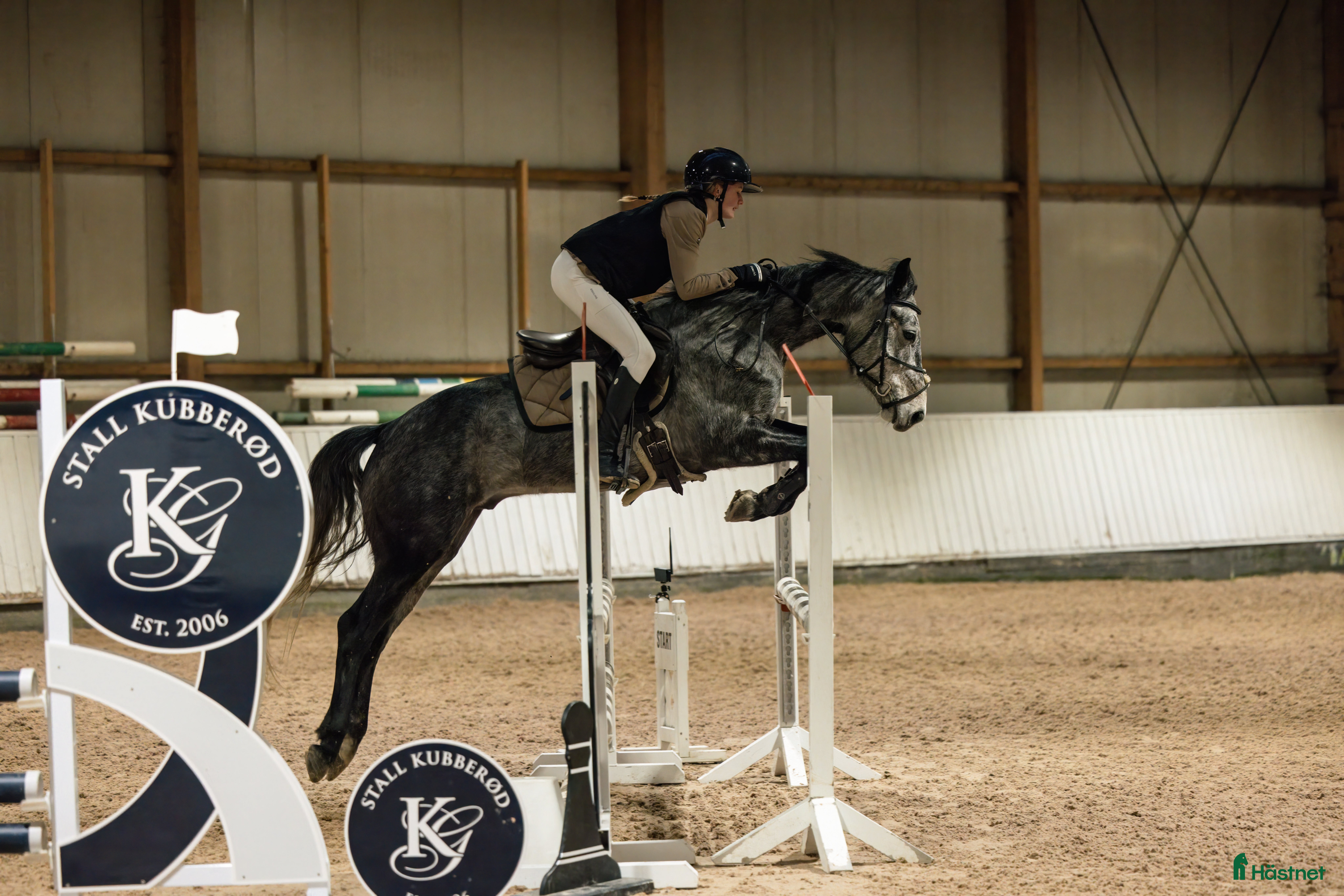  hästar Fremtidens mesterskapsponni  - Annons 5