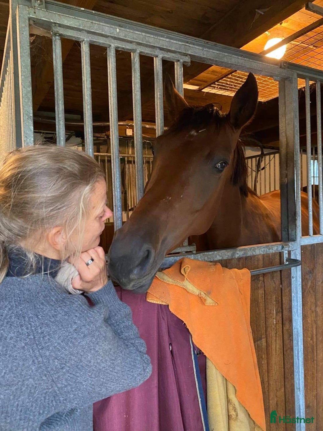  stallplats finnes: Behöver du stallplats på Ekerö?  i Skå - Annons 26