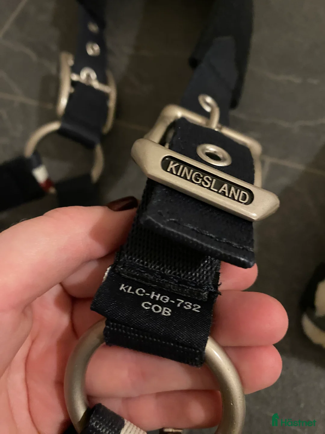 Övrig Hästutrustning hästutrustning till salu: Två nya grimmor med grimskaft Kingsland och Hööks - Annons 4