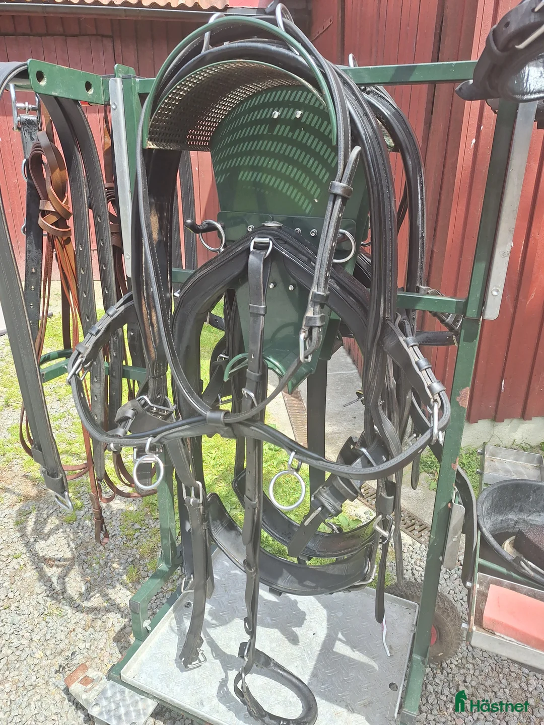 Körselar körning till salu: Ideal kombi sele par/enbet i Blentarp - Annons 3