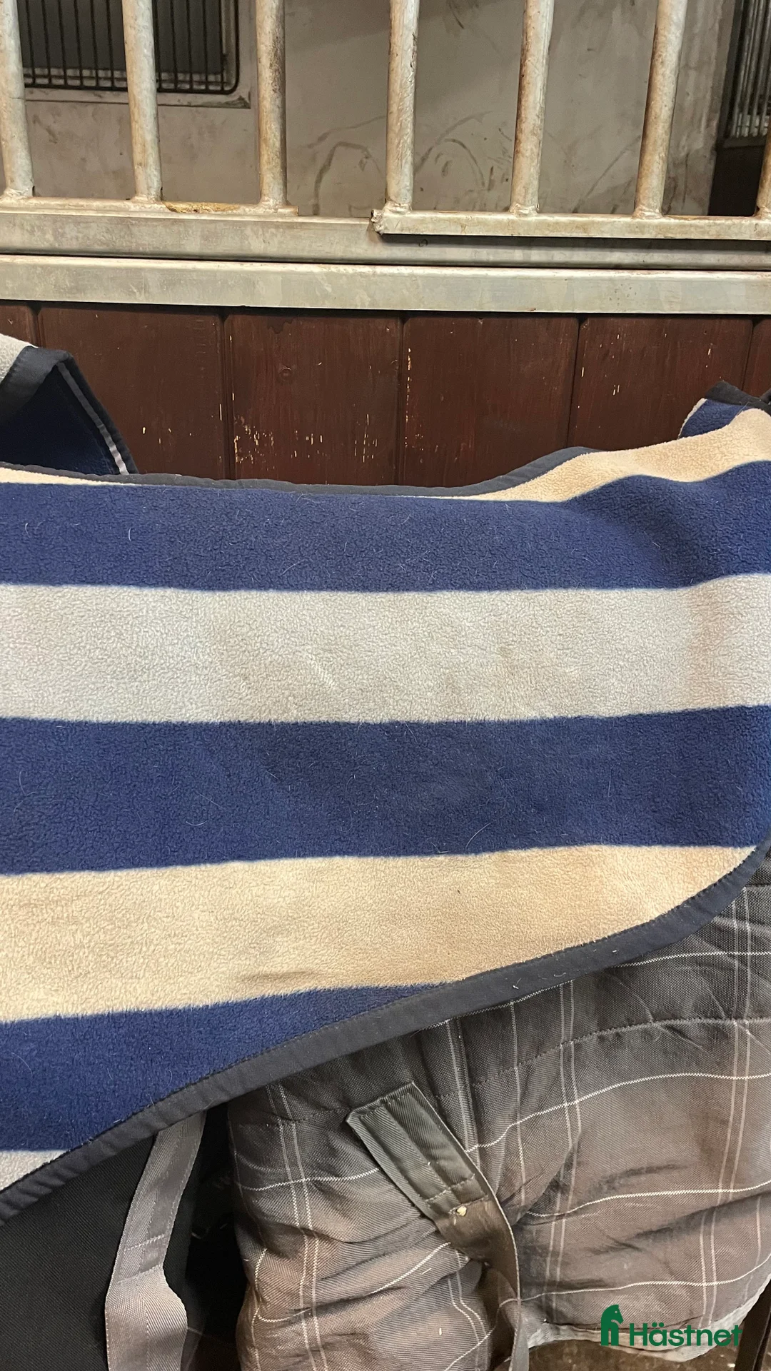 Täcken hästutrustning till salu: Rambo Competition Sheet - Annons 3