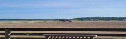  stallplats finnes: Stor box ledig på Almare Stäket! - Annons 2