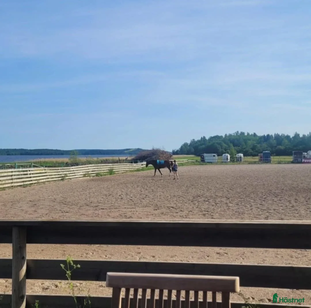 stallplats finnes: Stor box ledig på Almare Stäket! - Annons 2
