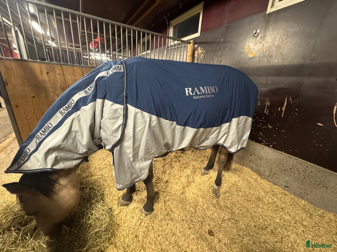 Täcken hästutrustning till salu: Rambo Autumn Series 145 *OANVÄNT* - Annons 2