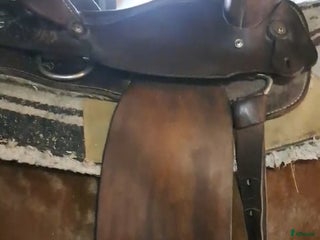Sadlar hästutrustning till salu: Westernsadel i Västerfärnebo - Annons 19