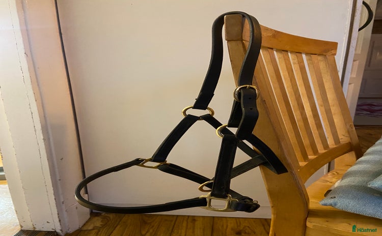 Övrig Hästutrustning hästutrustning till salu i Eksjö - Annons 18