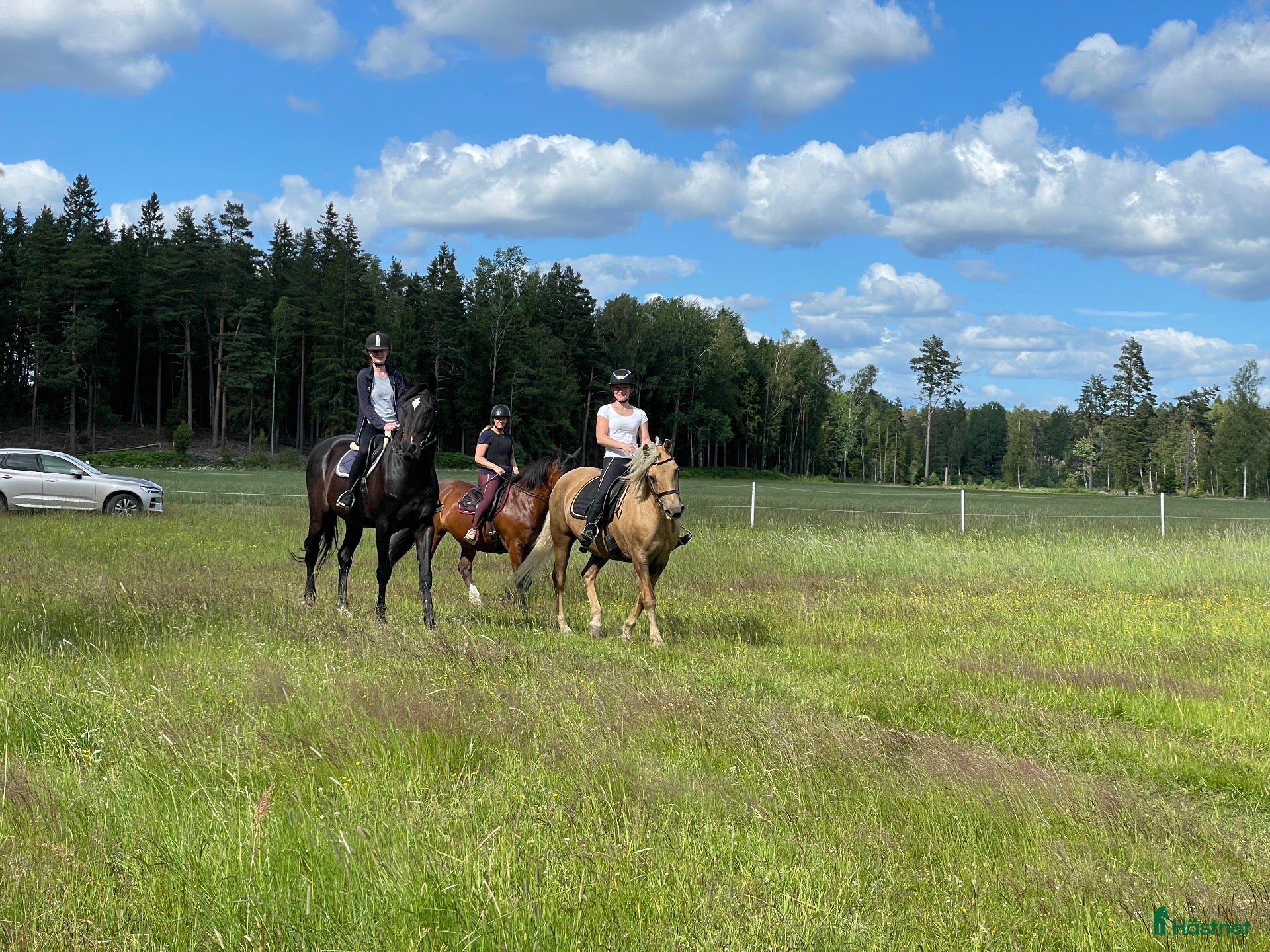  stallplats Stallplatser i vackra Grödinge - Annons 6