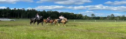  stallplats finnes: Stallplatser i vackra Grödinge - Annons 1