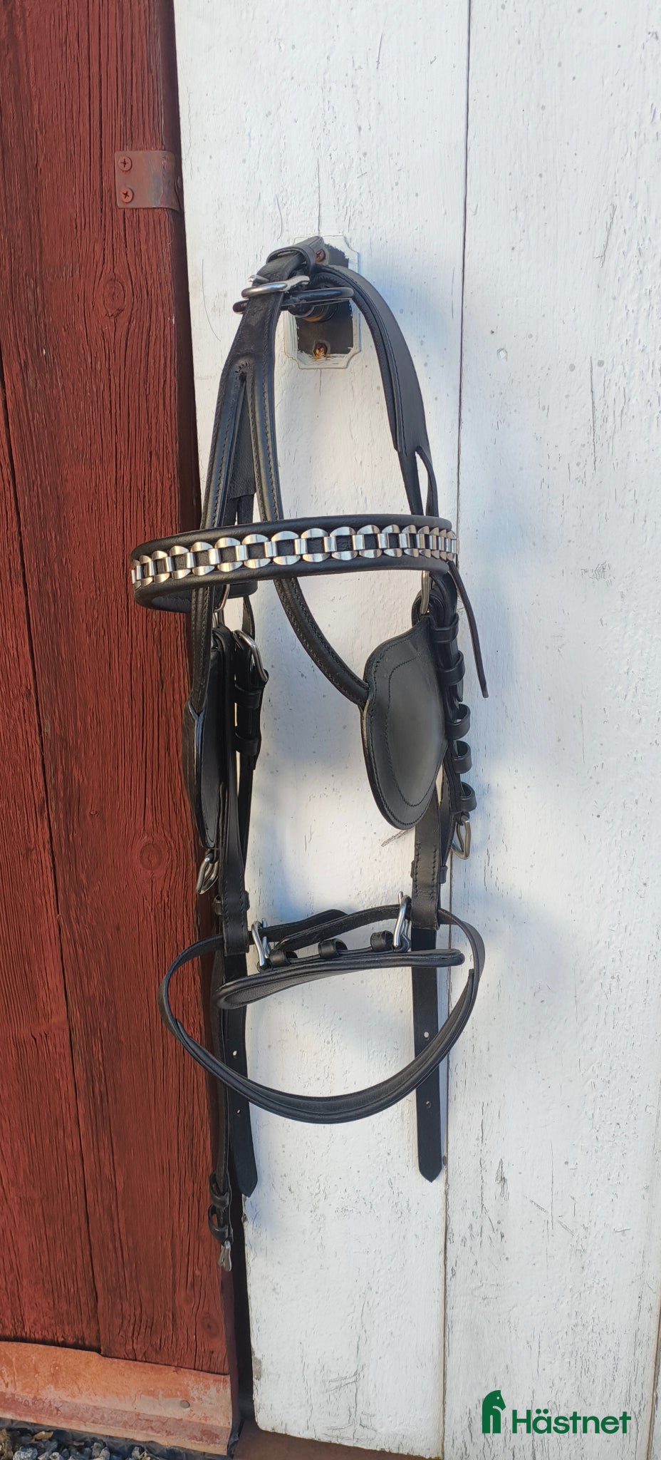 Övrig Körutrustning körning till salu: Huvudlag för körning i storlek Cob - Annons 5