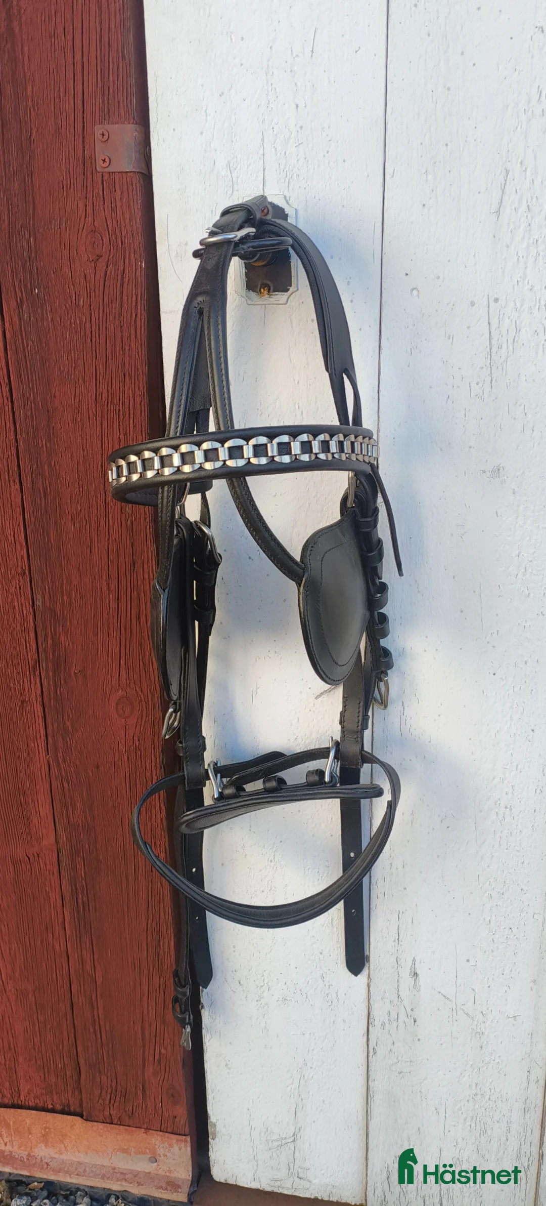 Övrig Körutrustning körning till salu: Huvudlag för körning i storlek Cob - Annons 1