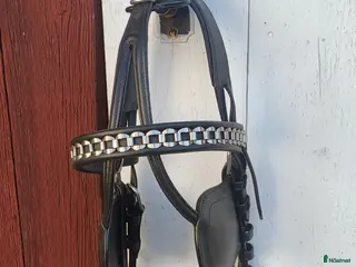 Övrig Körutrustning körning till salu: Huvudlag för körning i storlek Cob - Annons 5