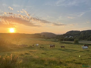 medryttarhäst sökes: Medryttarhäst/ponny sökes i Björketorp - Annons 14