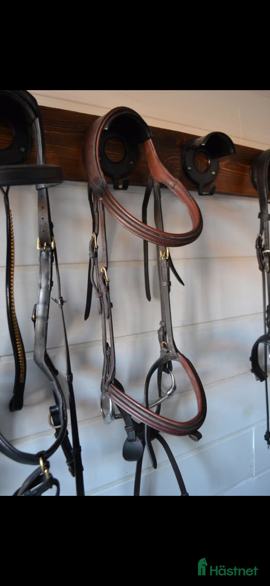 Träns hästutrustning till salu: Dyon Difference i Sävsjö - Annons 1