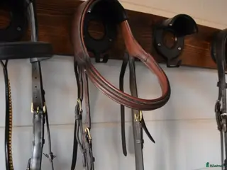 Träns hästutrustning Dyon Difference i Sävsjö - Annons 4