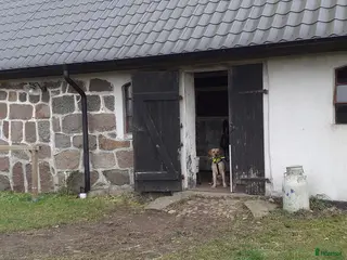 stallplats Boxplats för ponny finns i Knickarp i Ystad - Annons 2