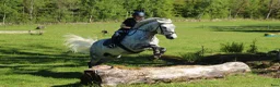  hästjobb finnes: Stalljobb sökes fr.o.m september! i Göteborg - Annons 2