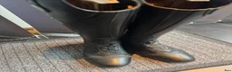 Ridstövlar ryttarutrustning till salu: Mountain horse ridstövlar i 36/37 i Uppsala - Annons 7
