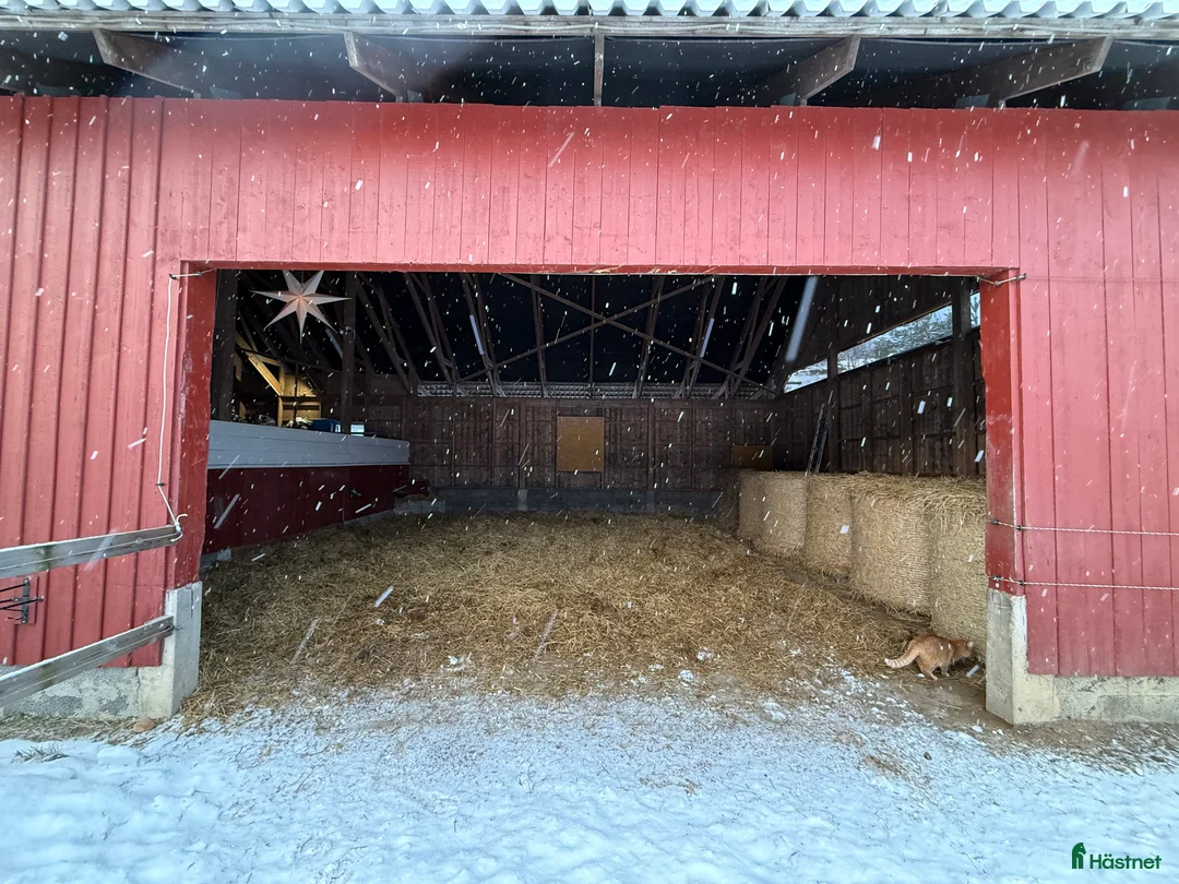  stallplats finnes: Lösdrift nära Södertälje  i Järna - Annons 7