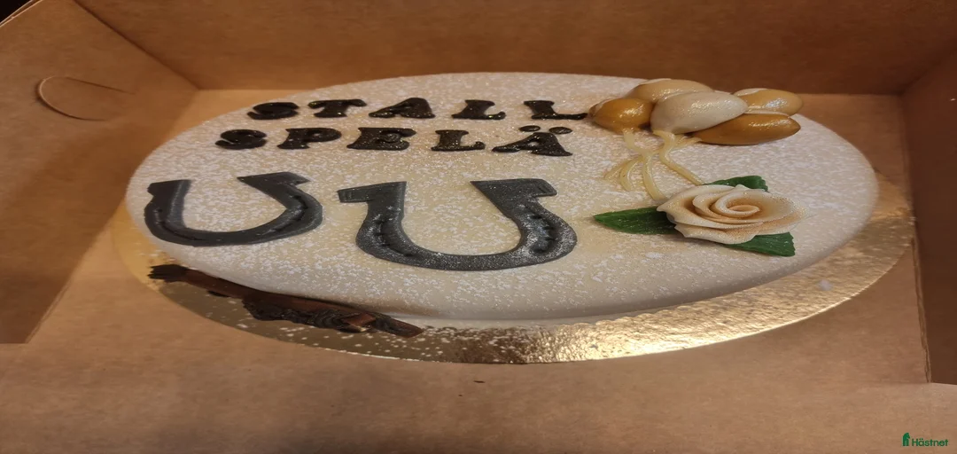 Galleribild {{count}}