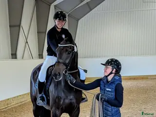 hästservice Utbildning/inridning/tävling - Annons 3