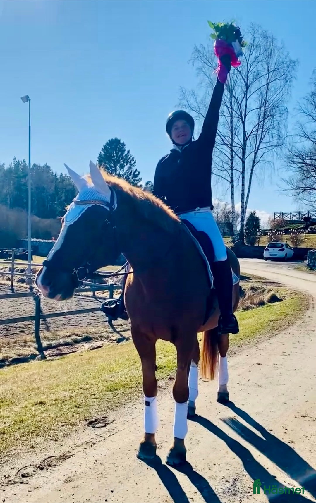  stallplats finnes: Behöver du stallplats på Ekerö?  i Skå - Annons 17