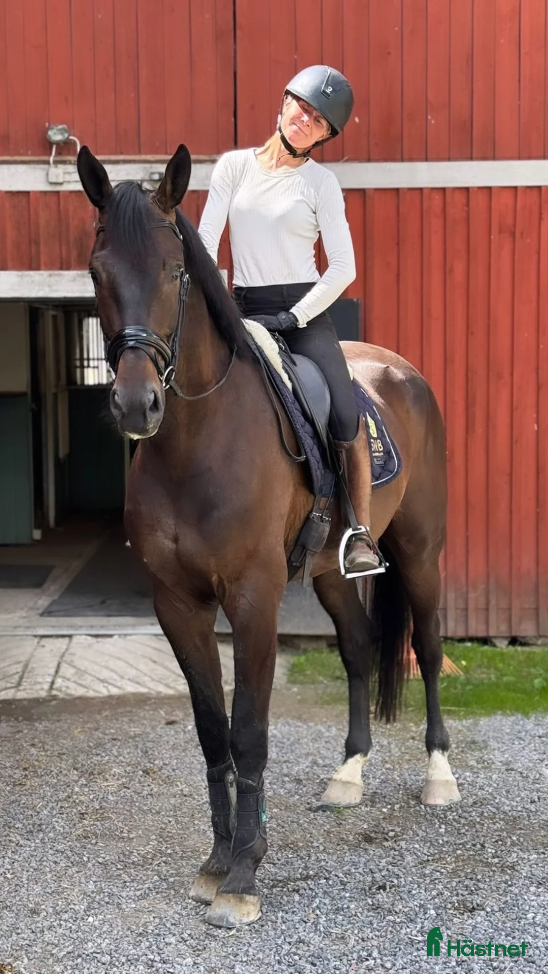 Dressyr hästar till salu: 5årig valack med mycket potential!  - Annons 2