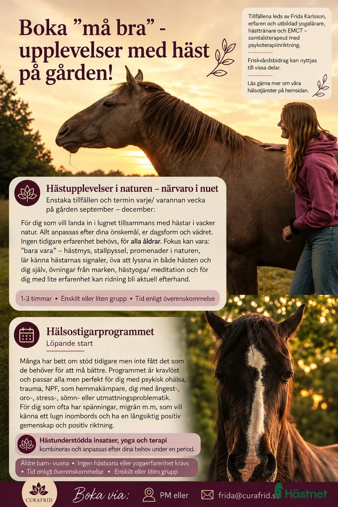  hästservice finnes: Träning, kurs eller upplevelser med häst! - Annons 2