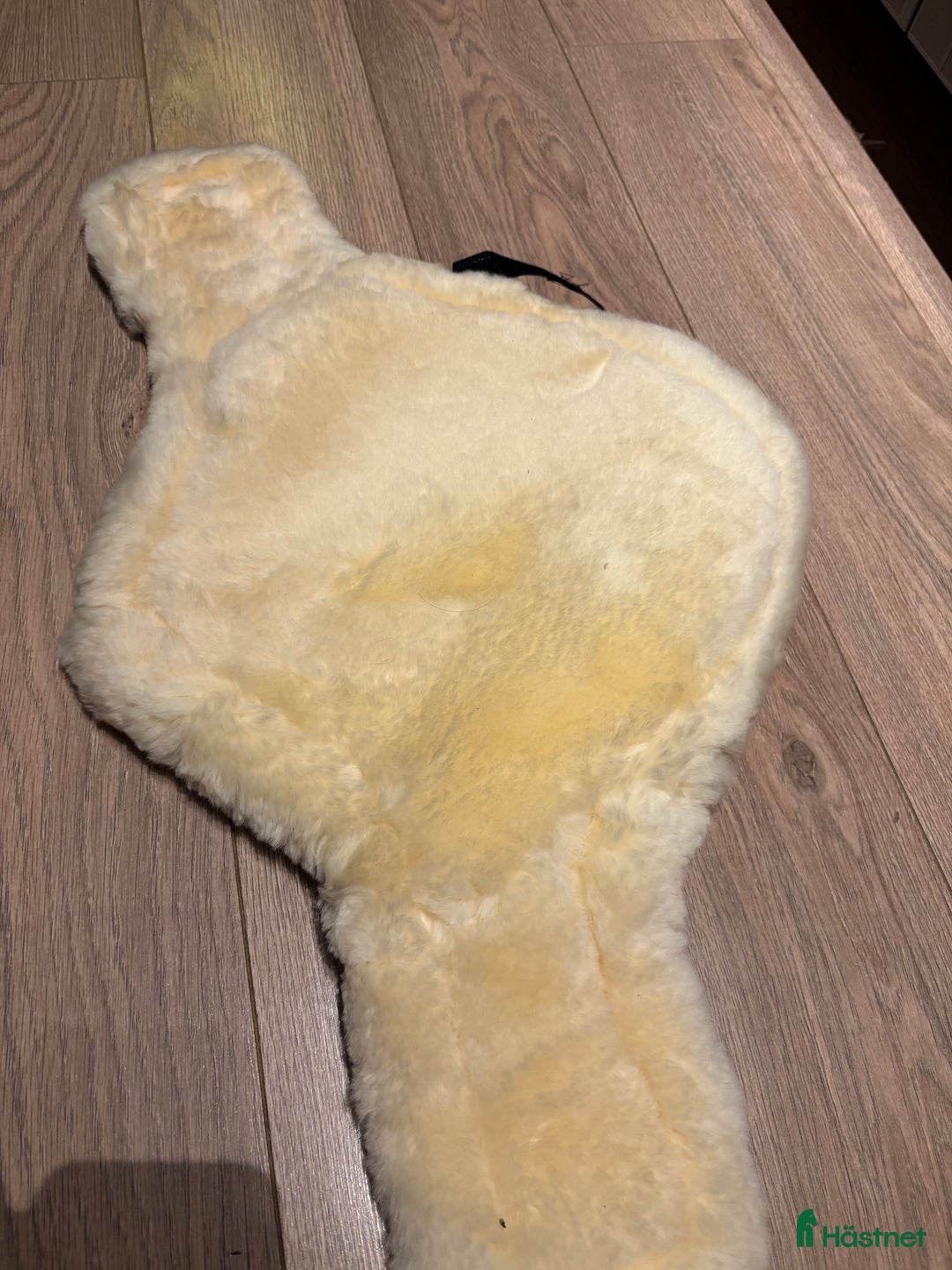 Sadeltillbehör hästutrustning till salu: Gjordskydd till magplattaa i Sollerön - Annons 1