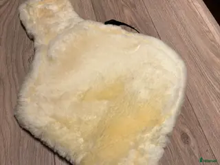 Sadeltillbehör hästutrustning Gjordskydd till magplattaa i Sollerön - Annons 18