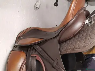Sadlar hästutrustning Globus Clic Dressyrsadel - Annons 2