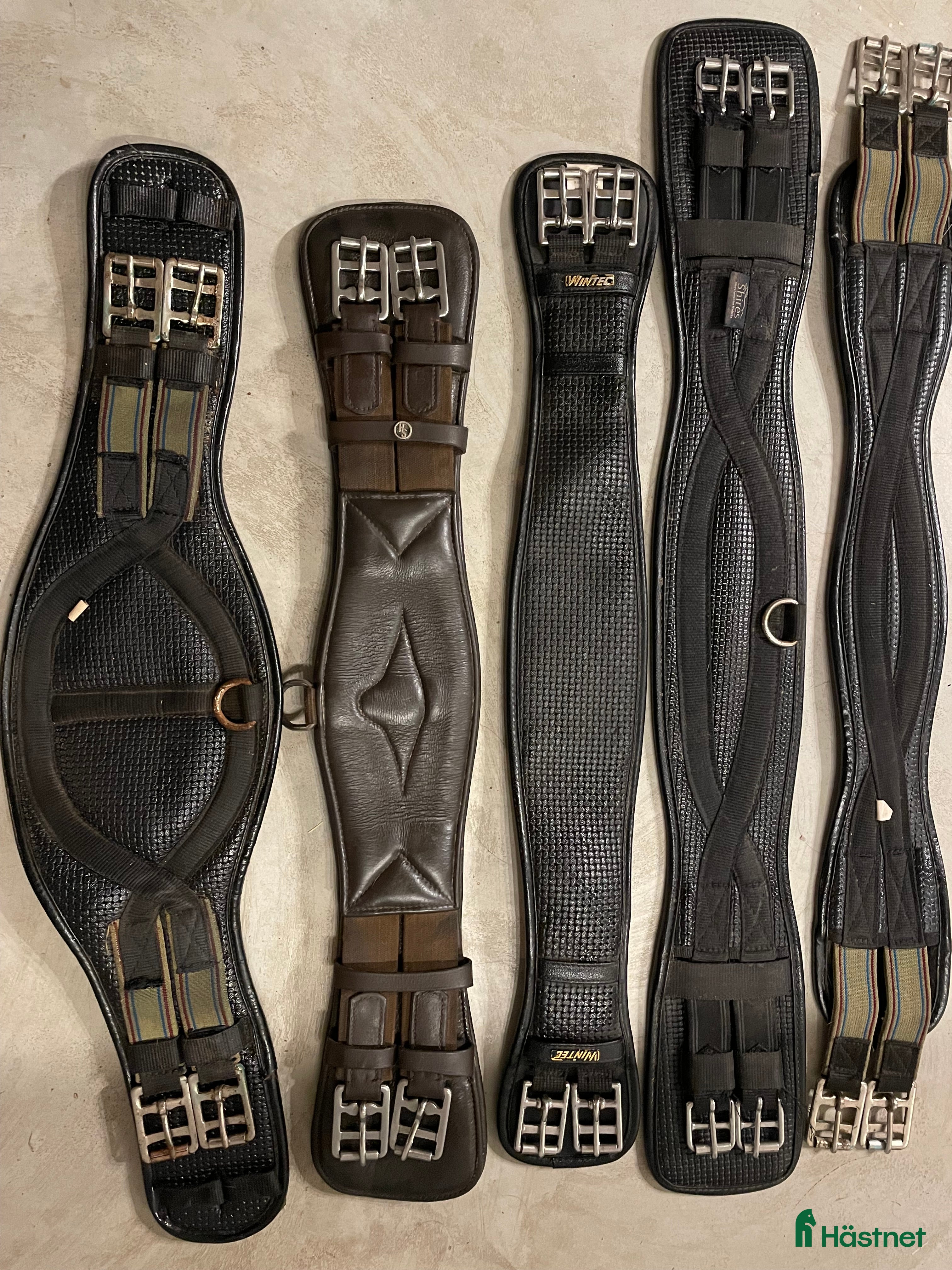 Sadeltillbehör hästutrustning Sadelgjordar och träns - Annons 2