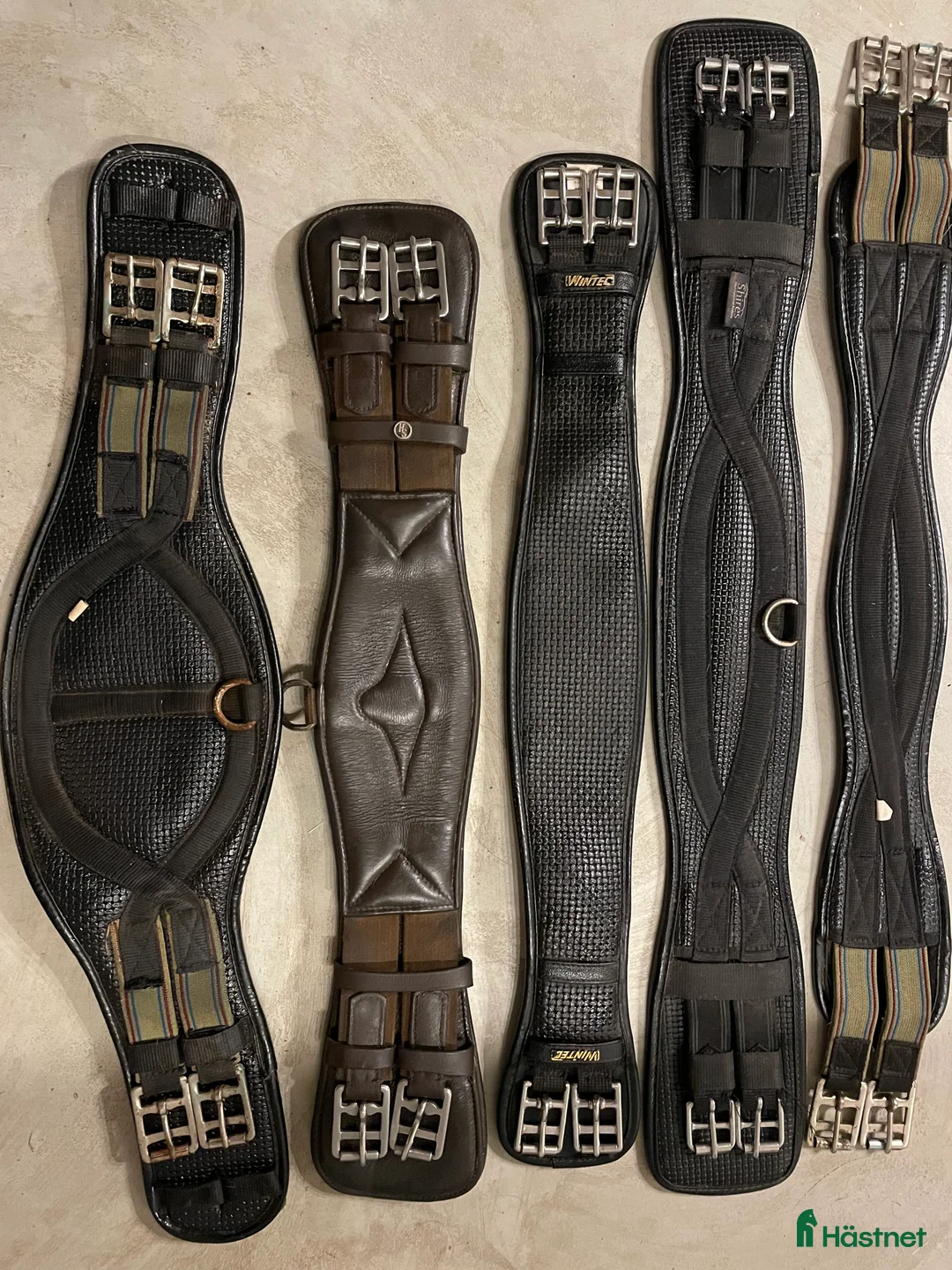 Sadeltillbehör hästutrustning till salu: Sadelgjordar och träns - Annons 1