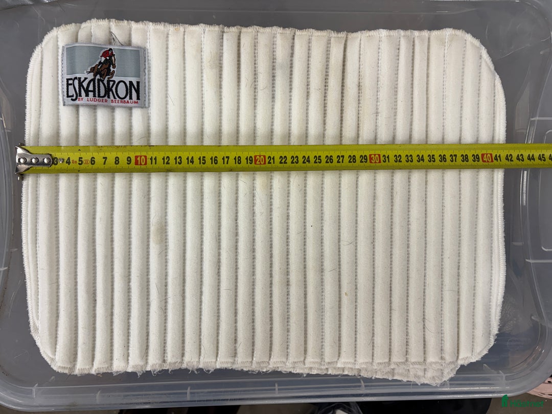 Benskydd hästutrustning till salu: Benpaddar från Eskadron och Mias i Täby - Annons 2