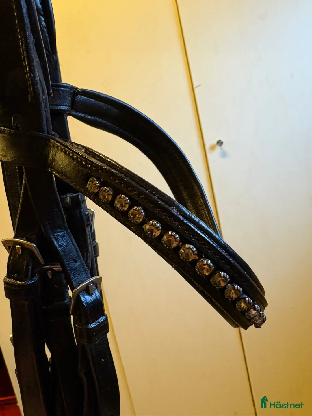 Träns hästutrustning till salu: Rundsytt kandar storlek X-Full från Lippo  i Västerås - Annons 1